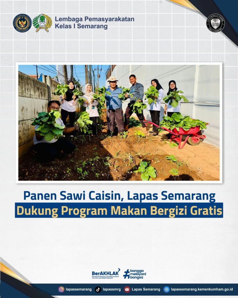 Panen Sawi Caisin, Lapas Semarang Dukung Program Makan Bergizi Gratis